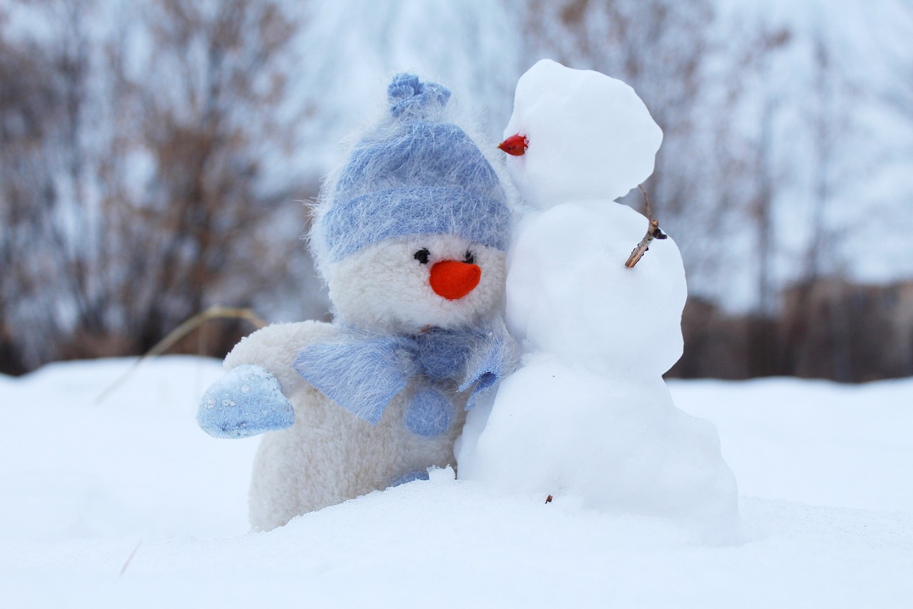 单机游戏雪人兄弟