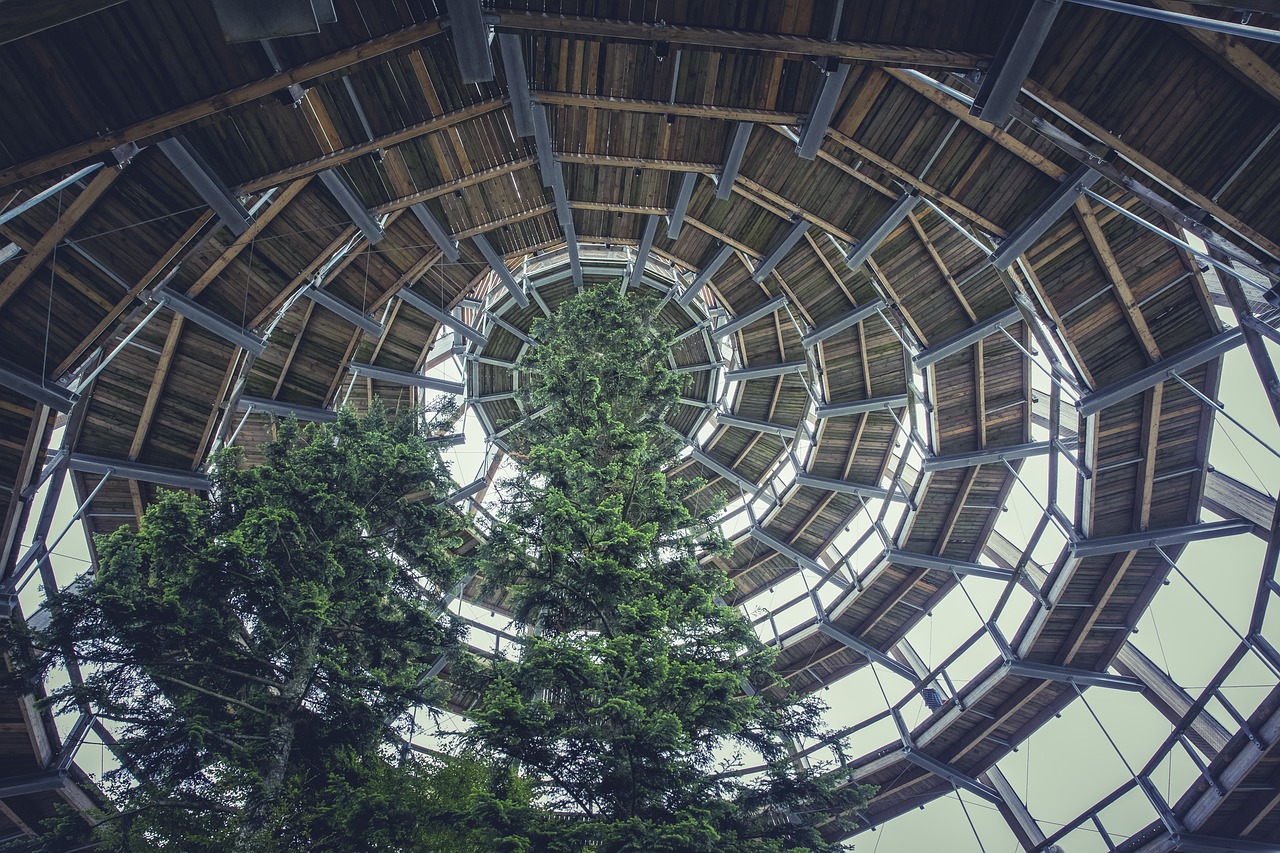 柳州攻略游戏推荐，探索柳州的虚拟与现实之旅