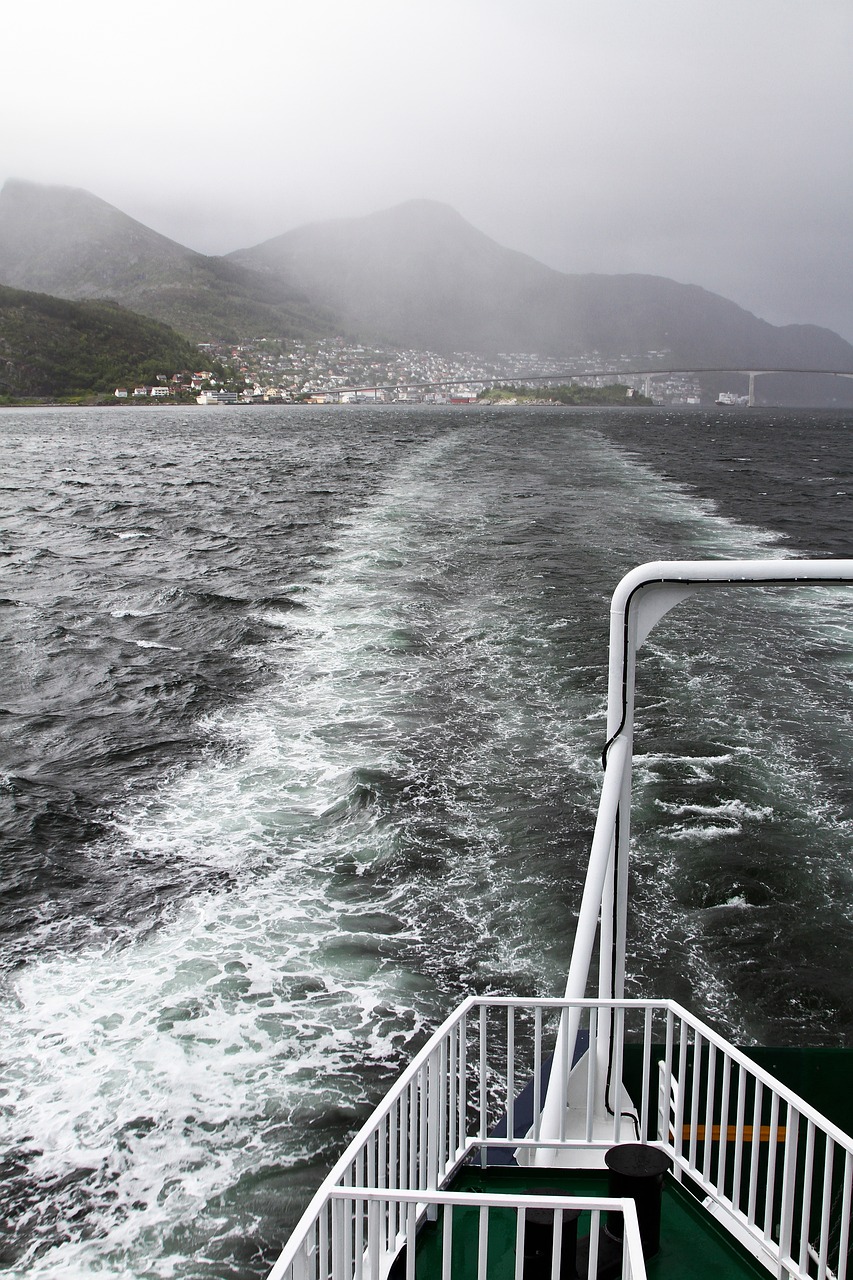 大庆赶海攻略游戏，探索海洋的冒险之旅