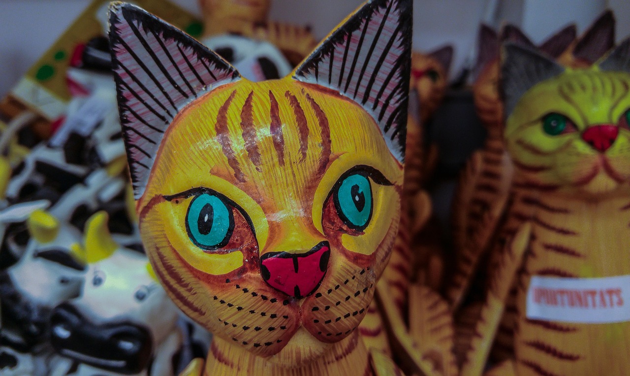 橙光游戏他的猫攻略指南