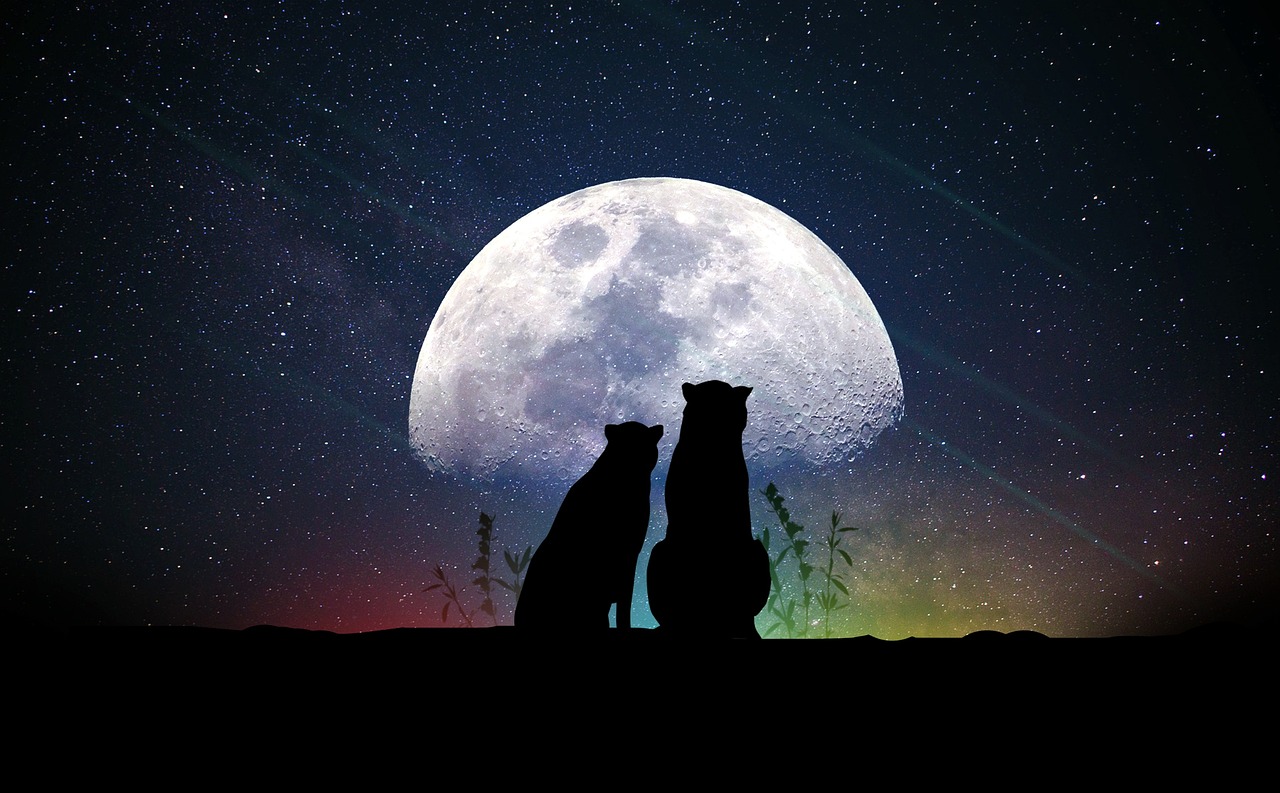 星辰大海