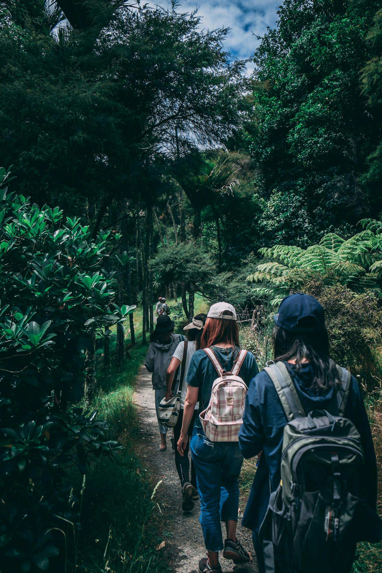纳尼亚传奇系列游戏，穿越奇幻世界的经典之旅